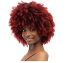 JANET COLLECTION NATURAL CURLY WIG - NATURAL AFRO KANE - Textured Tech